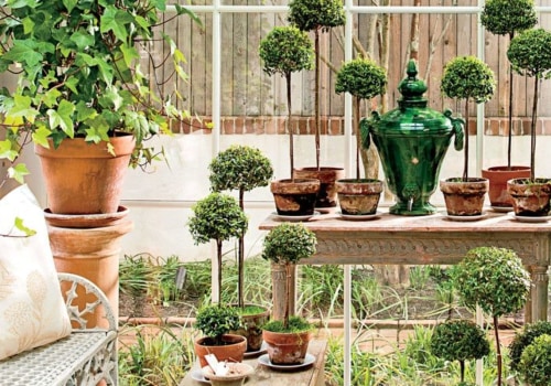Comment entretenir le topiaire de myrte à l'intérieur ?
